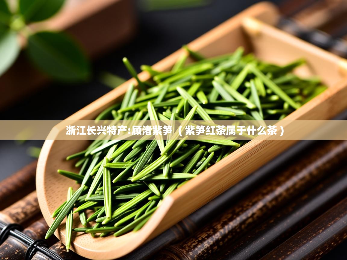  浙江长兴特产:顾渚紫笋  ( 紫笋红茶属于什么茶 )