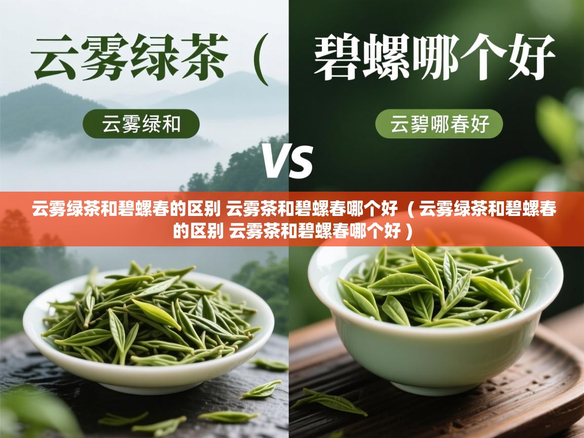  云雾绿茶和碧螺春的区别 云雾茶和碧螺春哪个好  ( 云雾绿茶和碧螺春的区别 云雾茶和碧螺春哪个好 )