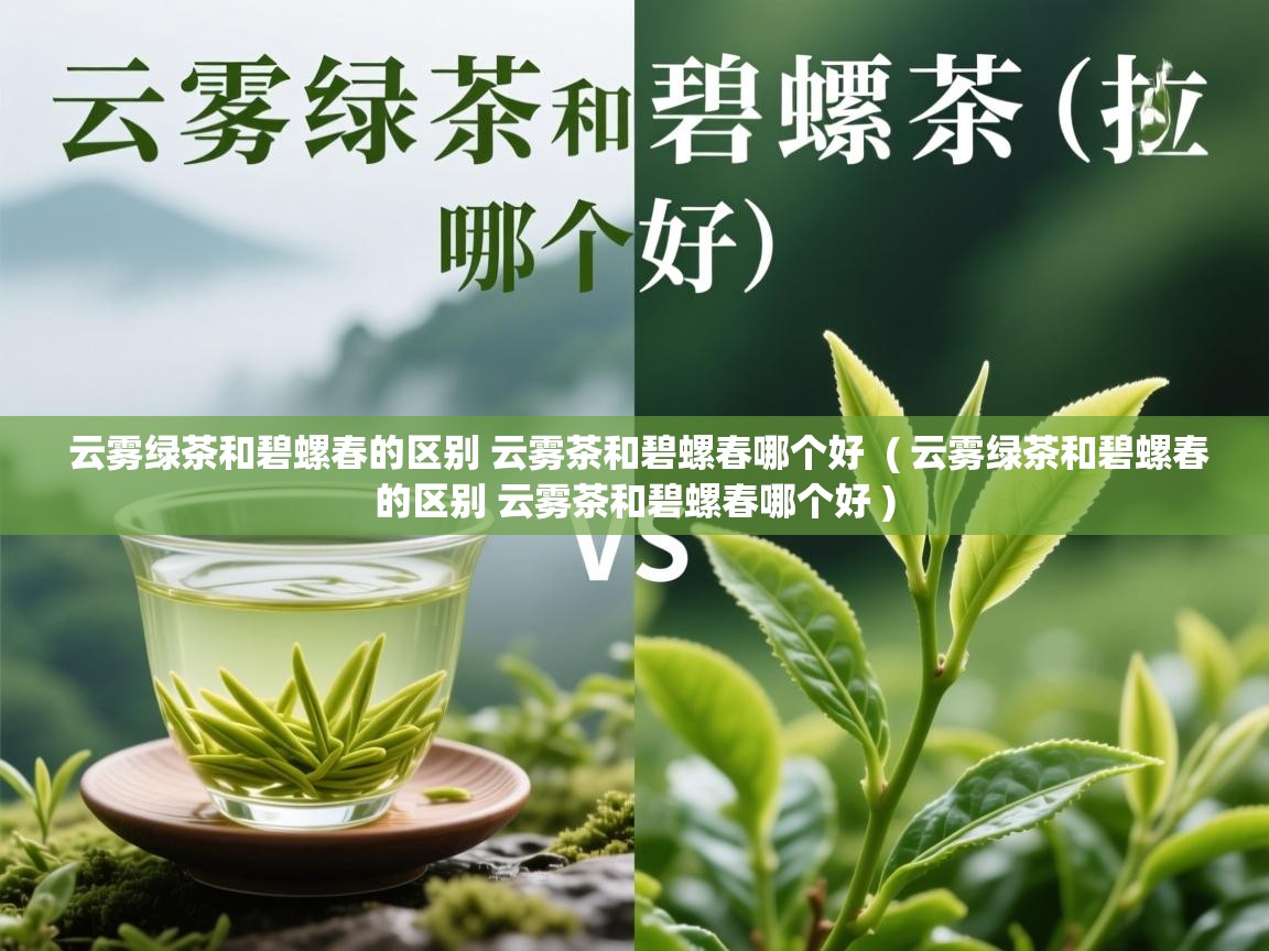  云雾绿茶和碧螺春的区别 云雾茶和碧螺春哪个好  ( 云雾绿茶和碧螺春的区别 云雾茶和碧螺春哪个好 )