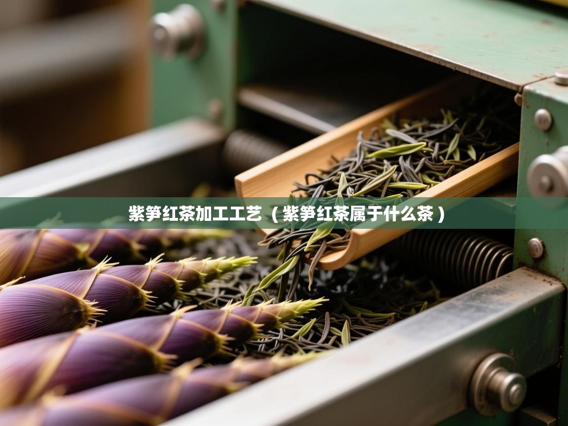  紫笋红茶加工工艺  ( 紫笋红茶属于什么茶 )