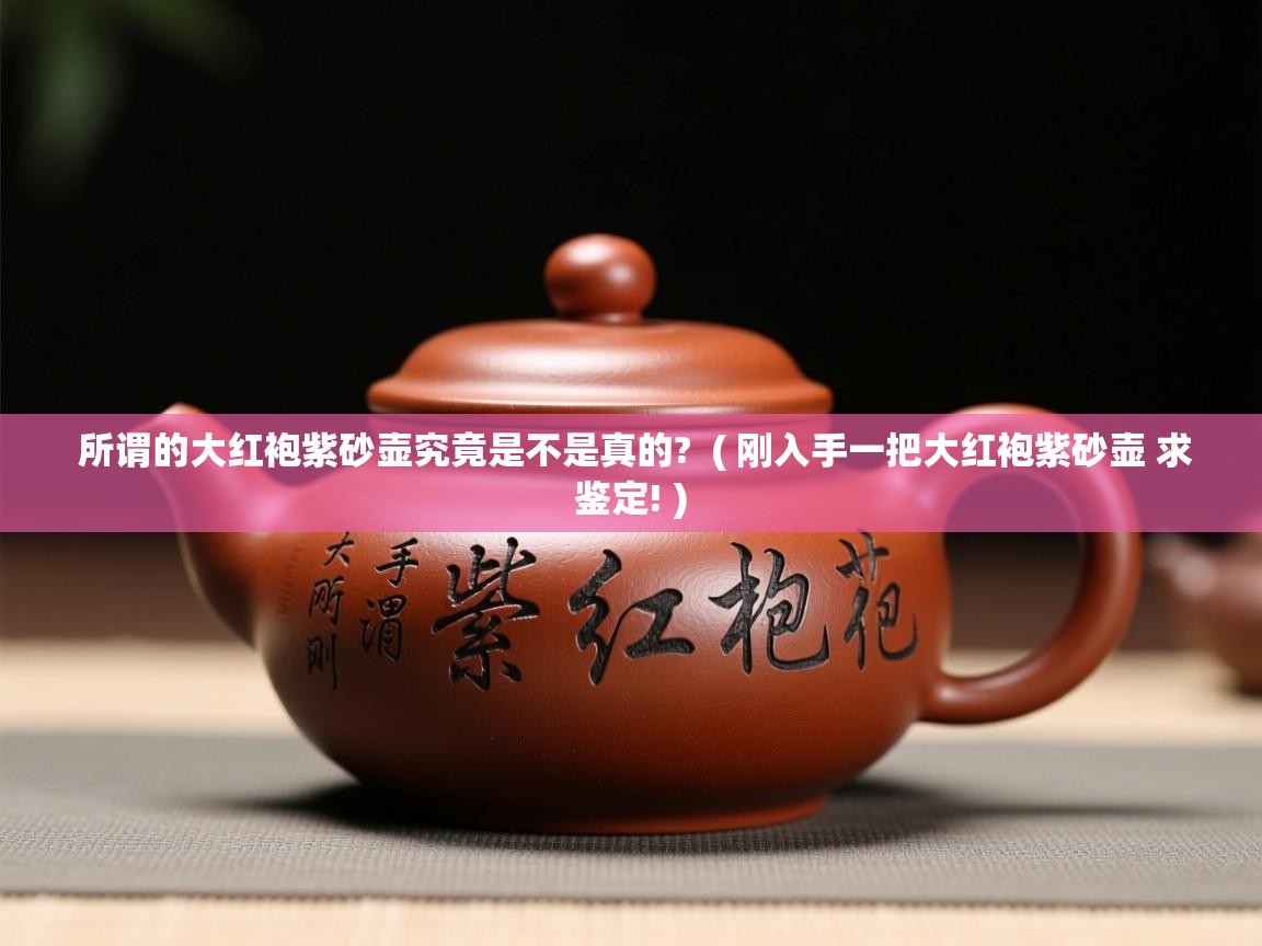 所谓的大红袍紫砂壶究竟是不是真的?  ( 刚入手一把大红袍紫砂壶 求鉴定! )  所谓的大红袍紫砂壶究竟是不是真的?  ( 刚入手一把大红袍紫砂壶 求鉴定! )