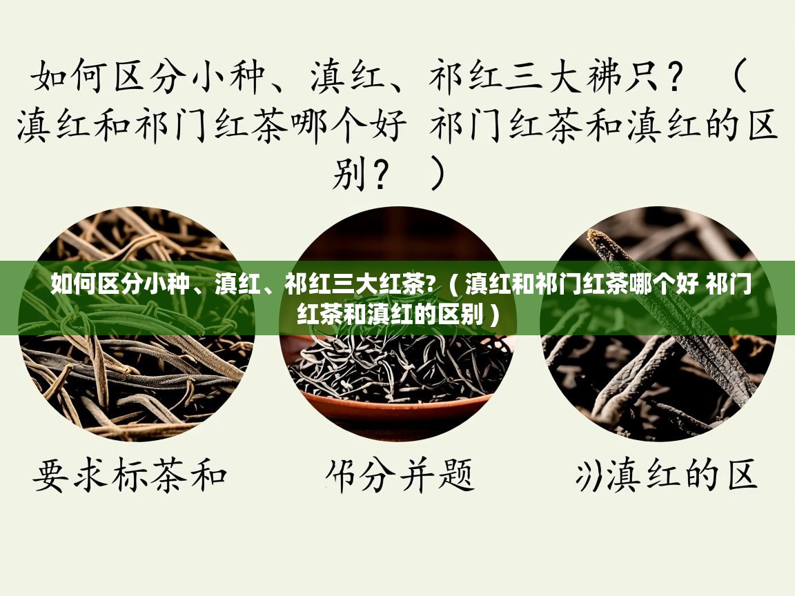  如何区分小种、滇红、祁红三大红茶?  ( 滇红和祁门红茶哪个好 祁门红茶和滇红的区别 )