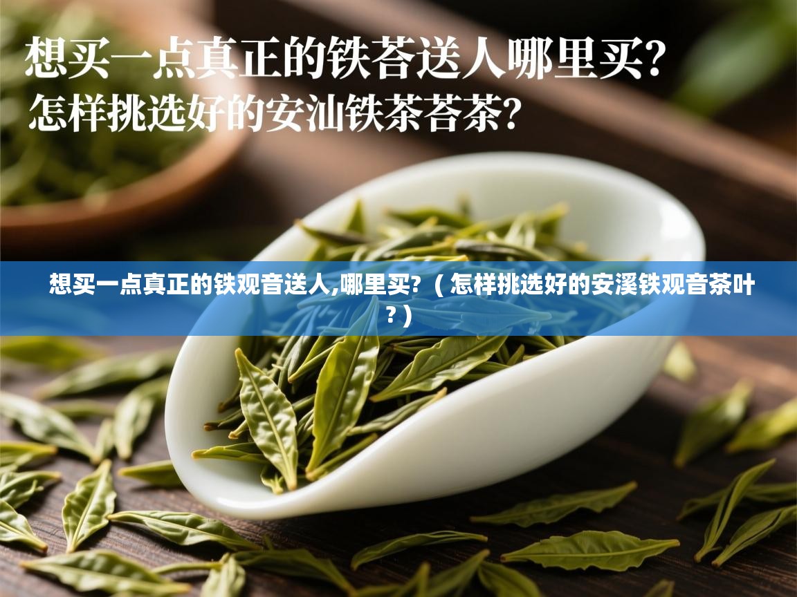  想买一点真正的铁观音送人,哪里买?  ( 怎样挑选好的安溪铁观音茶叶? )