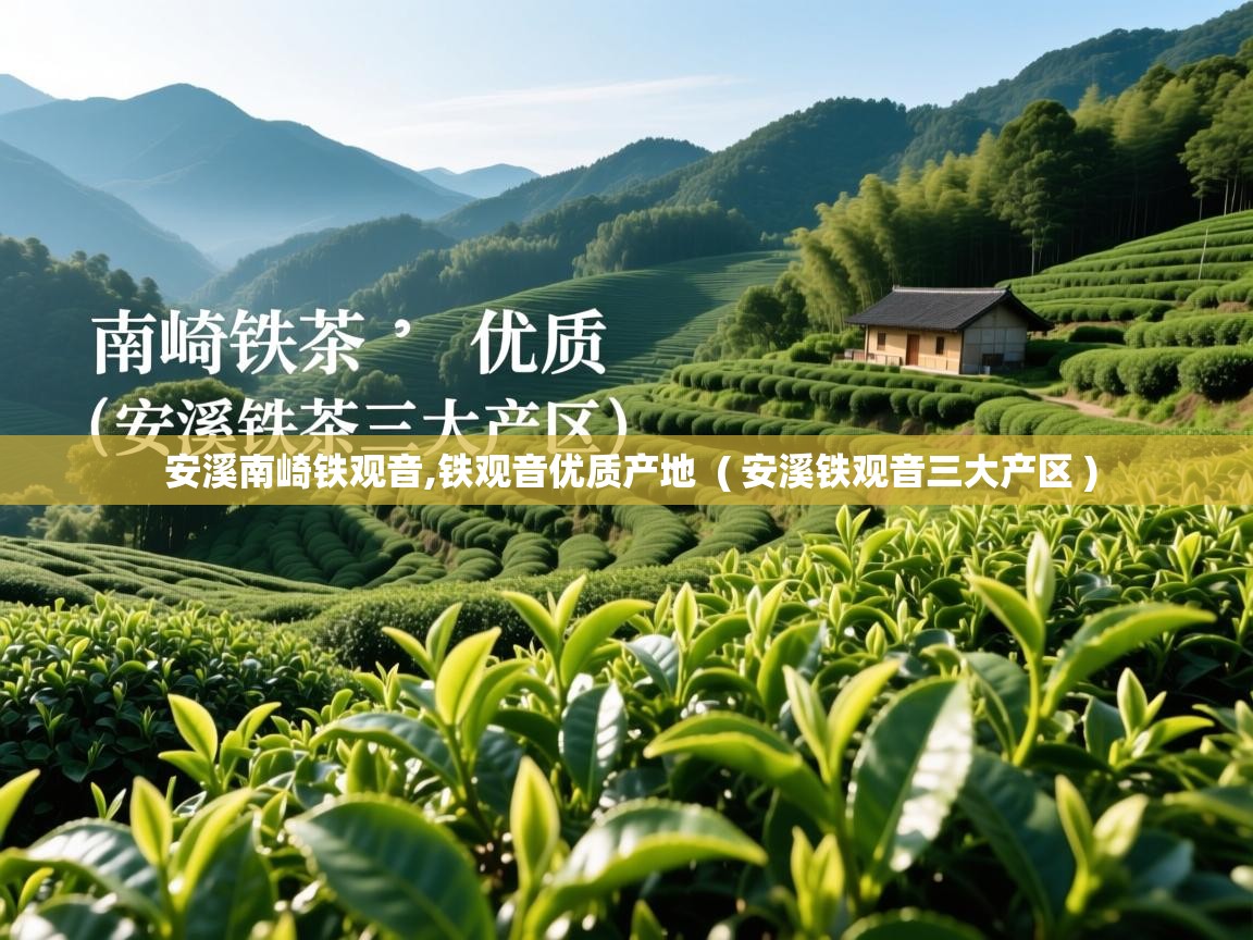  安溪南崎铁观音,铁观音优质产地  ( 安溪铁观音三大产区 )