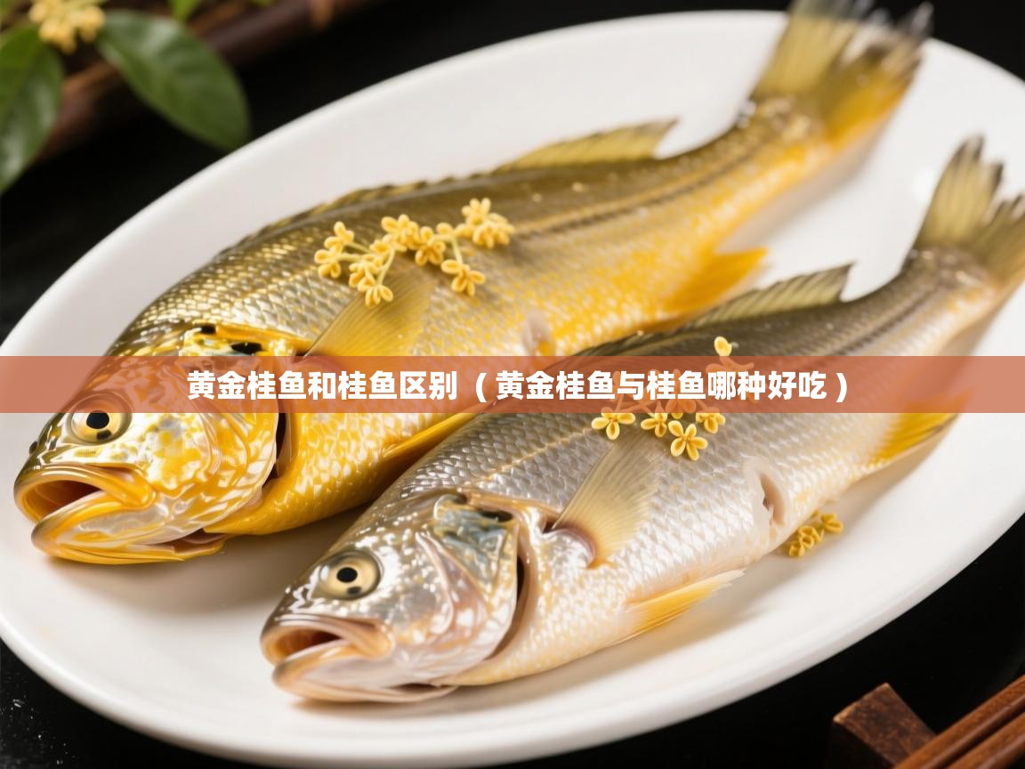  黄金桂鱼和桂鱼区别  ( 黄金桂鱼与桂鱼哪种好吃 )