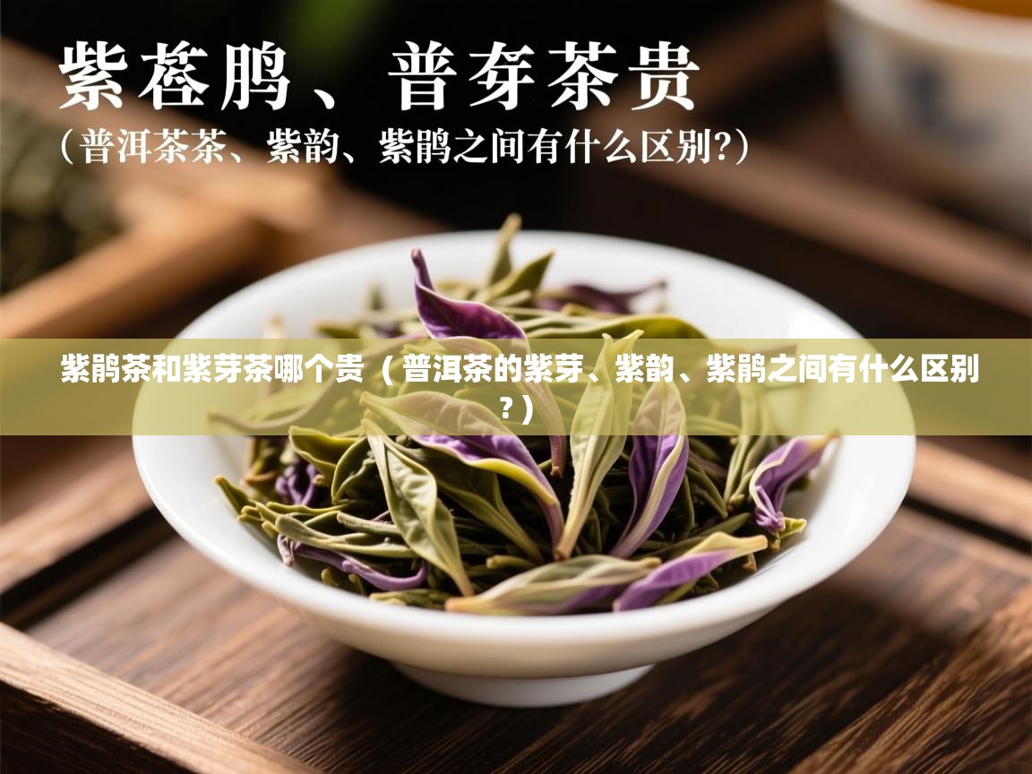  紫鹃茶和紫芽茶哪个贵  ( 普洱茶的紫芽、紫韵、紫鹃之间有什么区别? )