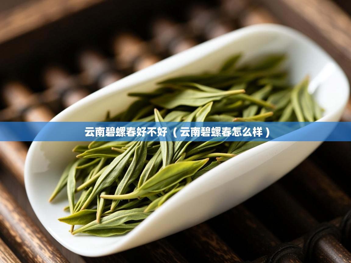  云南碧螺春好不好  ( 云南碧螺春怎么样 )