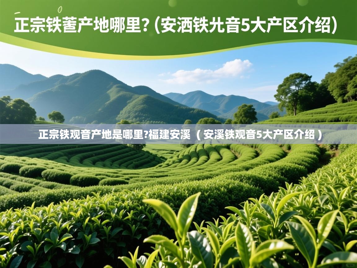  正宗铁观音产地是哪里?福建安溪  ( 安溪铁观音5大产区介绍 )