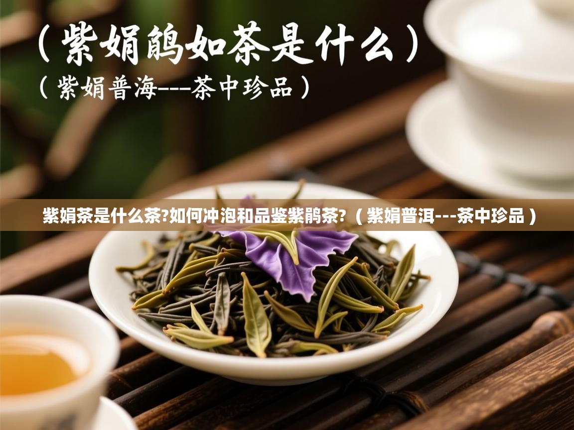  紫娟茶是什么茶?如何冲泡和品鉴紫鹃茶?  ( 紫娟普洱---茶中珍品 )