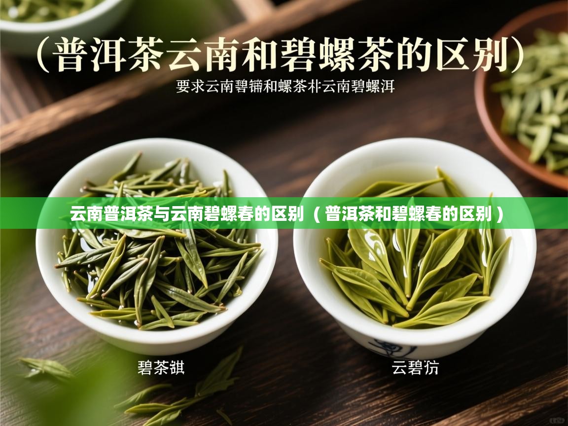  云南普洱茶与云南碧螺春的区别  ( 普洱茶和碧螺春的区别 )