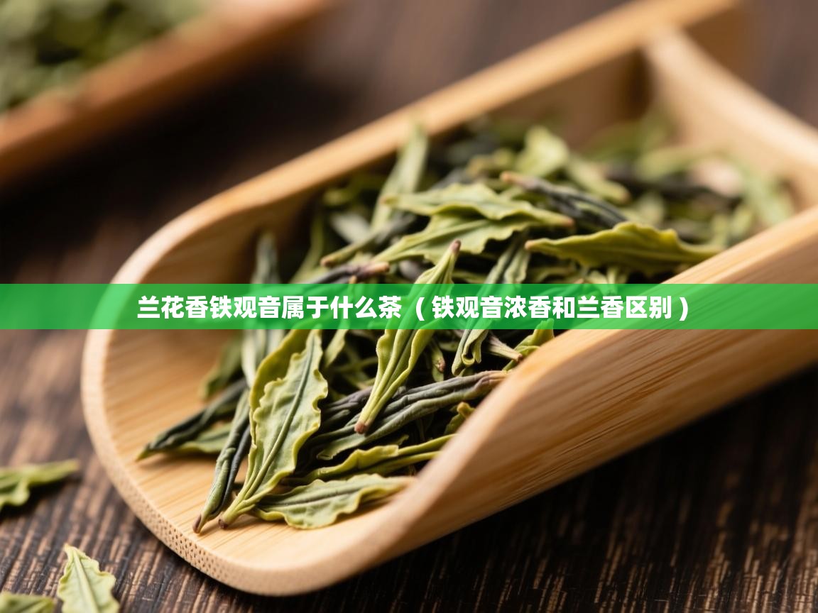 兰花香铁观音属于什么茶  ( 铁观音浓香和兰香区别 )