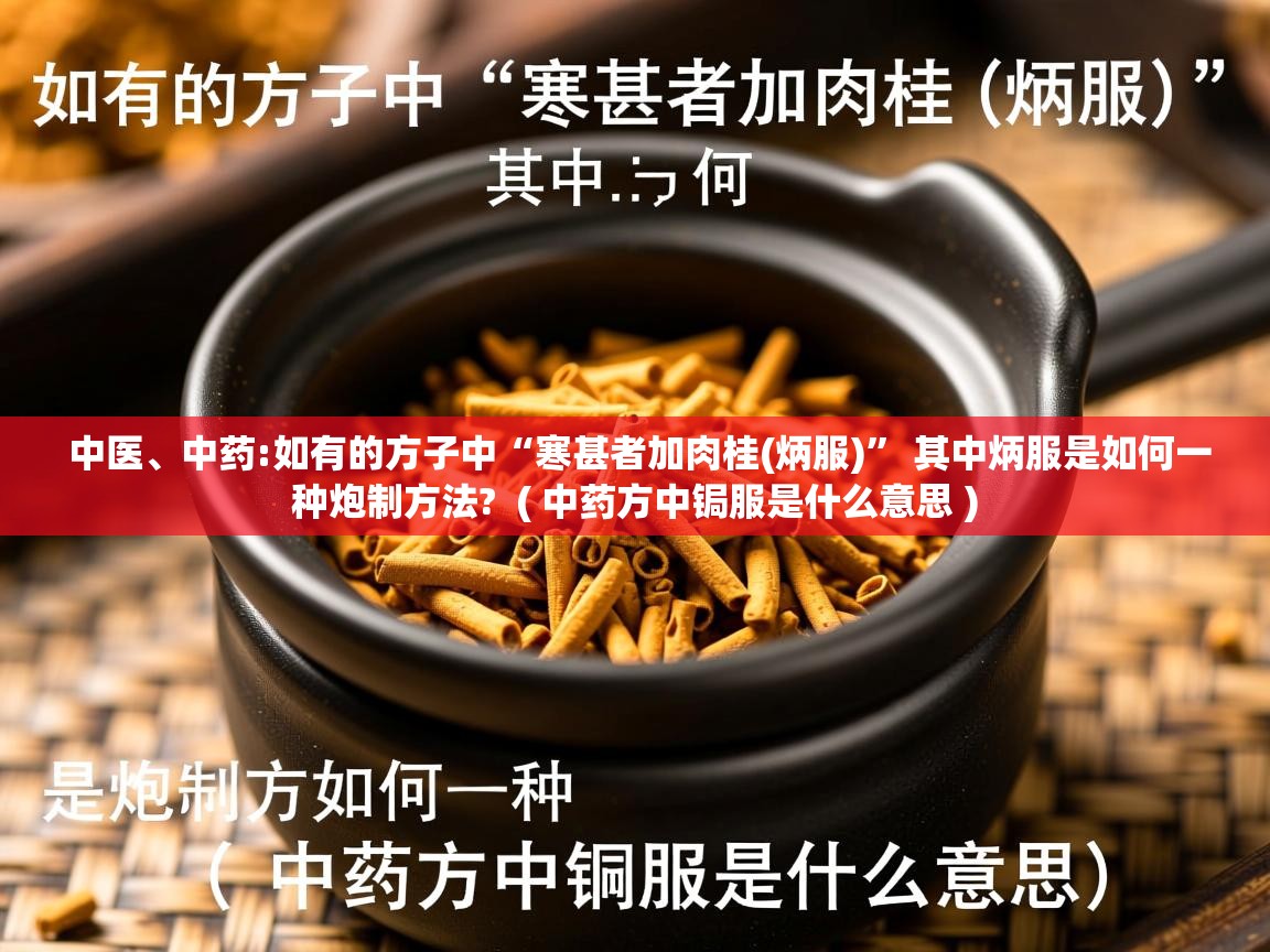  中医、中药:如有的方子中“寒甚者加肉桂(炳服)” 其中炳服是如何一种炮制方法?  ( 中药方中锔服是什么意思 )