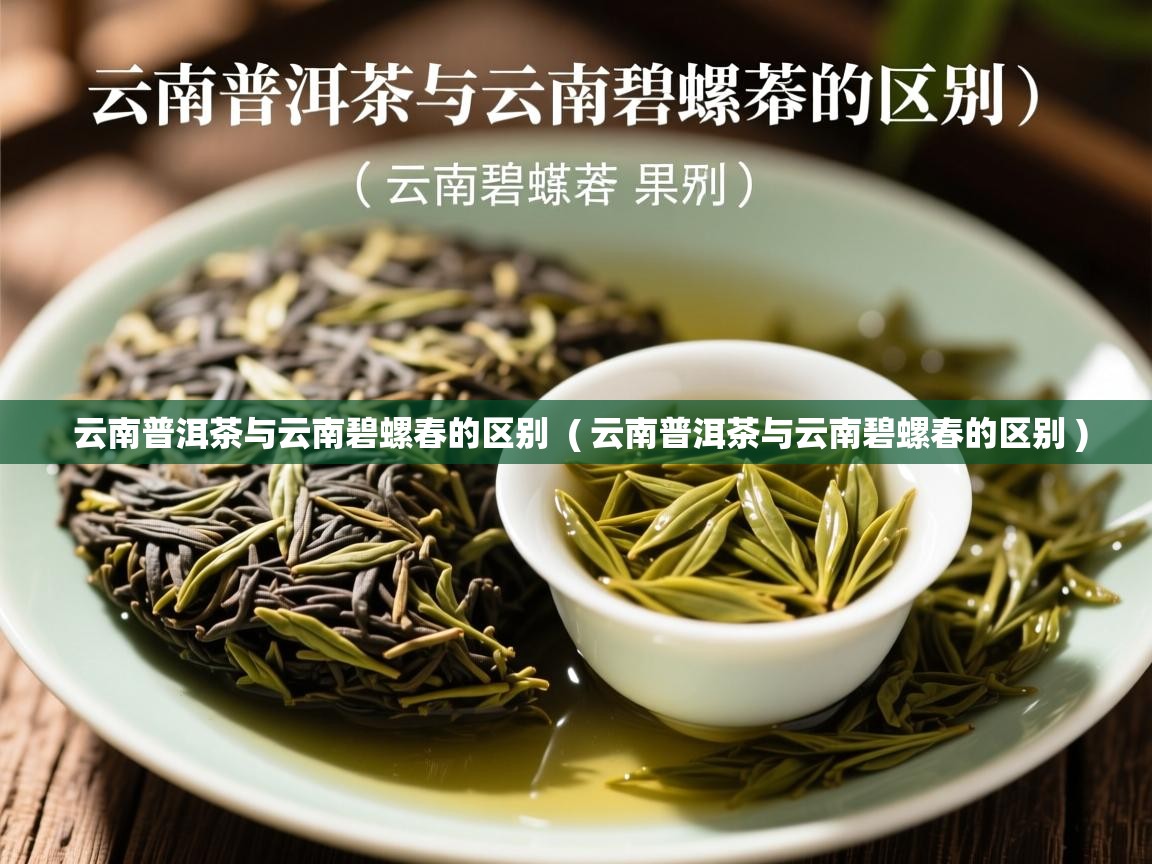 云南普洱茶与云南碧螺春的区别  ( 云南普洱茶与云南碧螺春的区别 )  云南普洱茶与云南碧螺春的区别  ( 云南普洱茶与云南碧螺春的区别 )