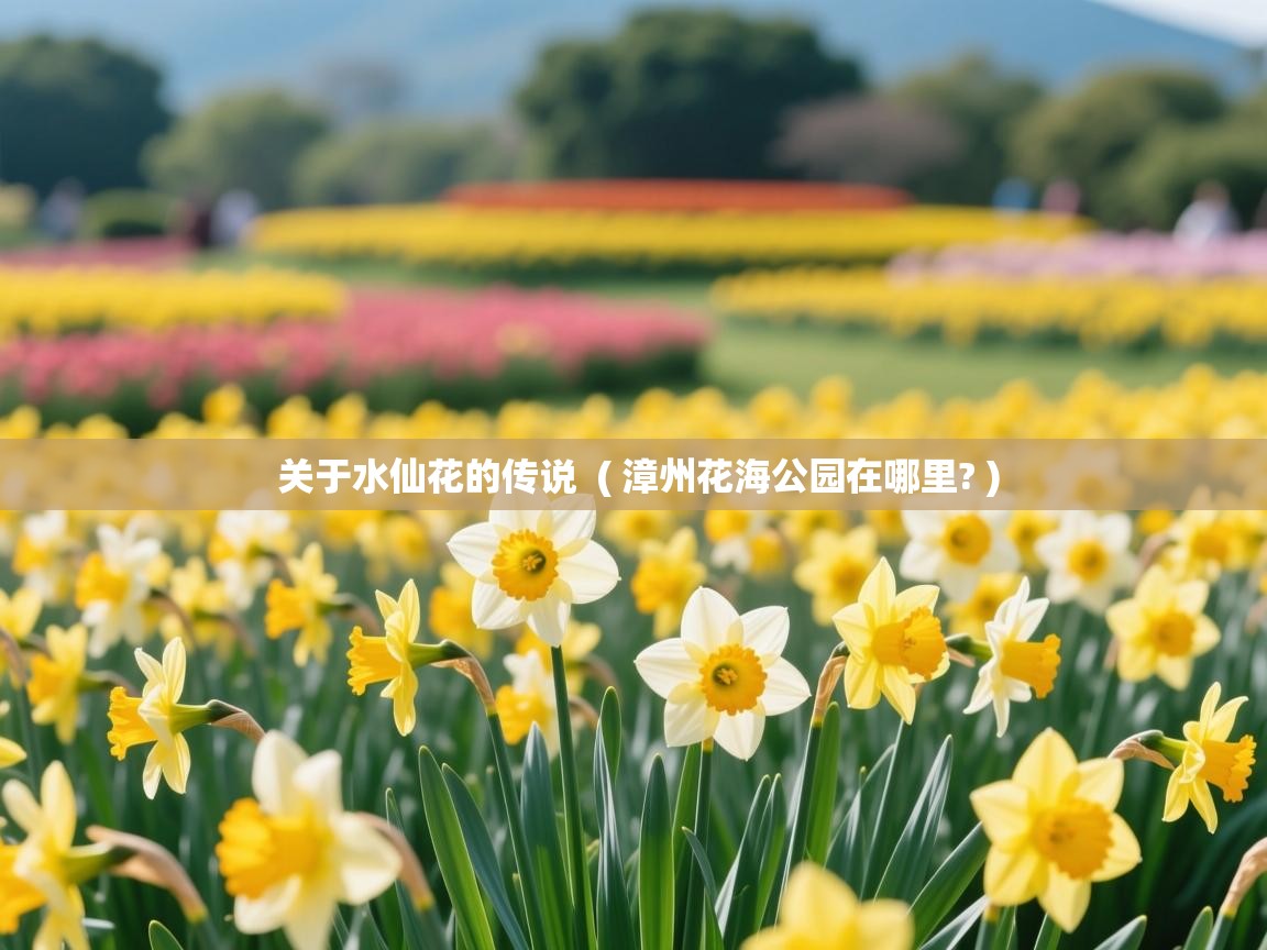  关于水仙花的传说  ( 漳州花海公园在哪里? )
