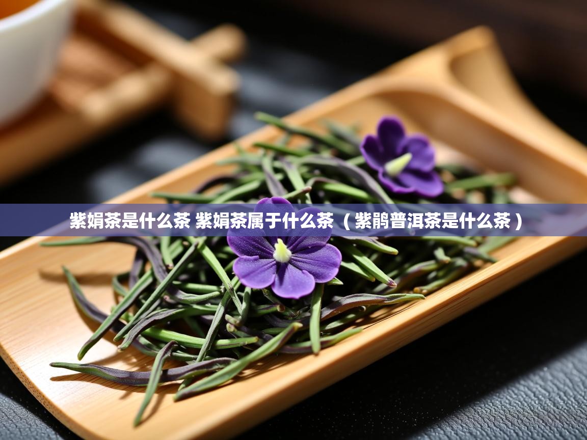  紫娟茶是什么茶 紫娟茶属于什么茶  ( 紫鹃普洱茶是什么茶 )