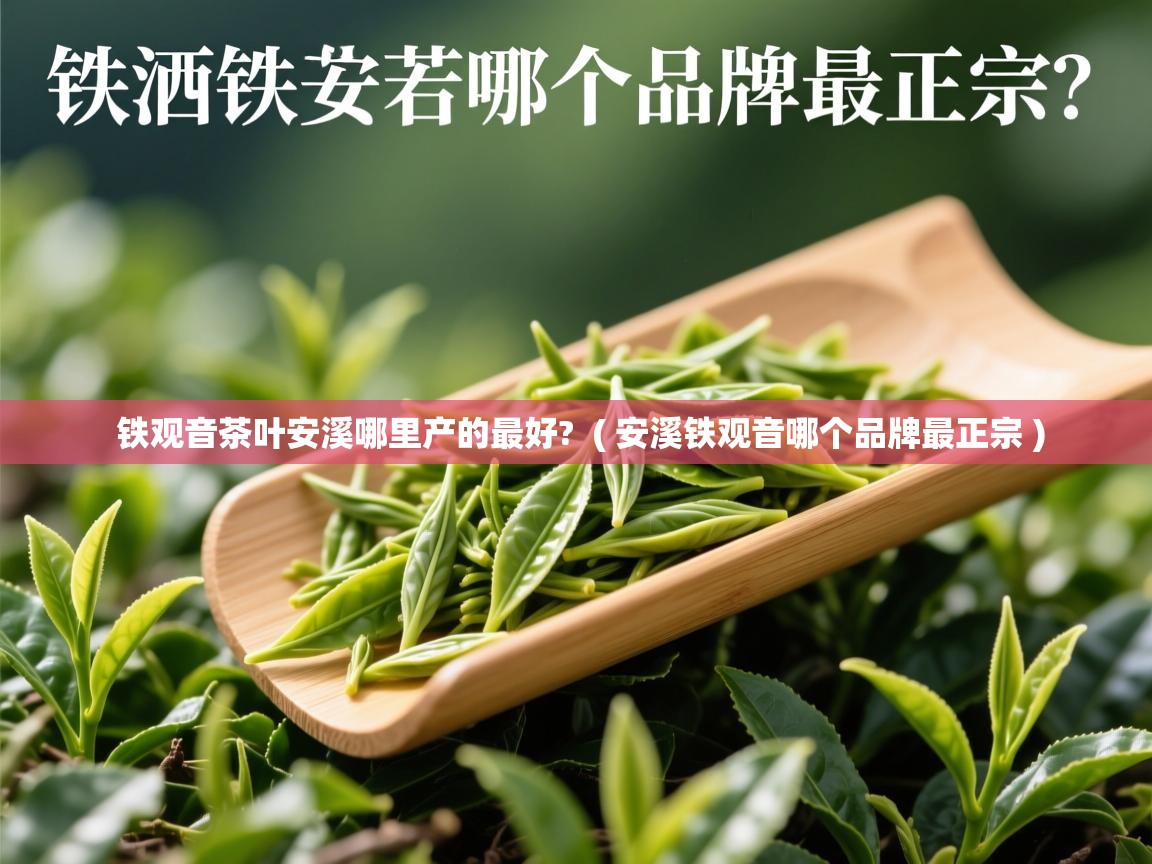  铁观音茶叶安溪哪里产的最好?  ( 安溪铁观音哪个品牌最正宗 )
