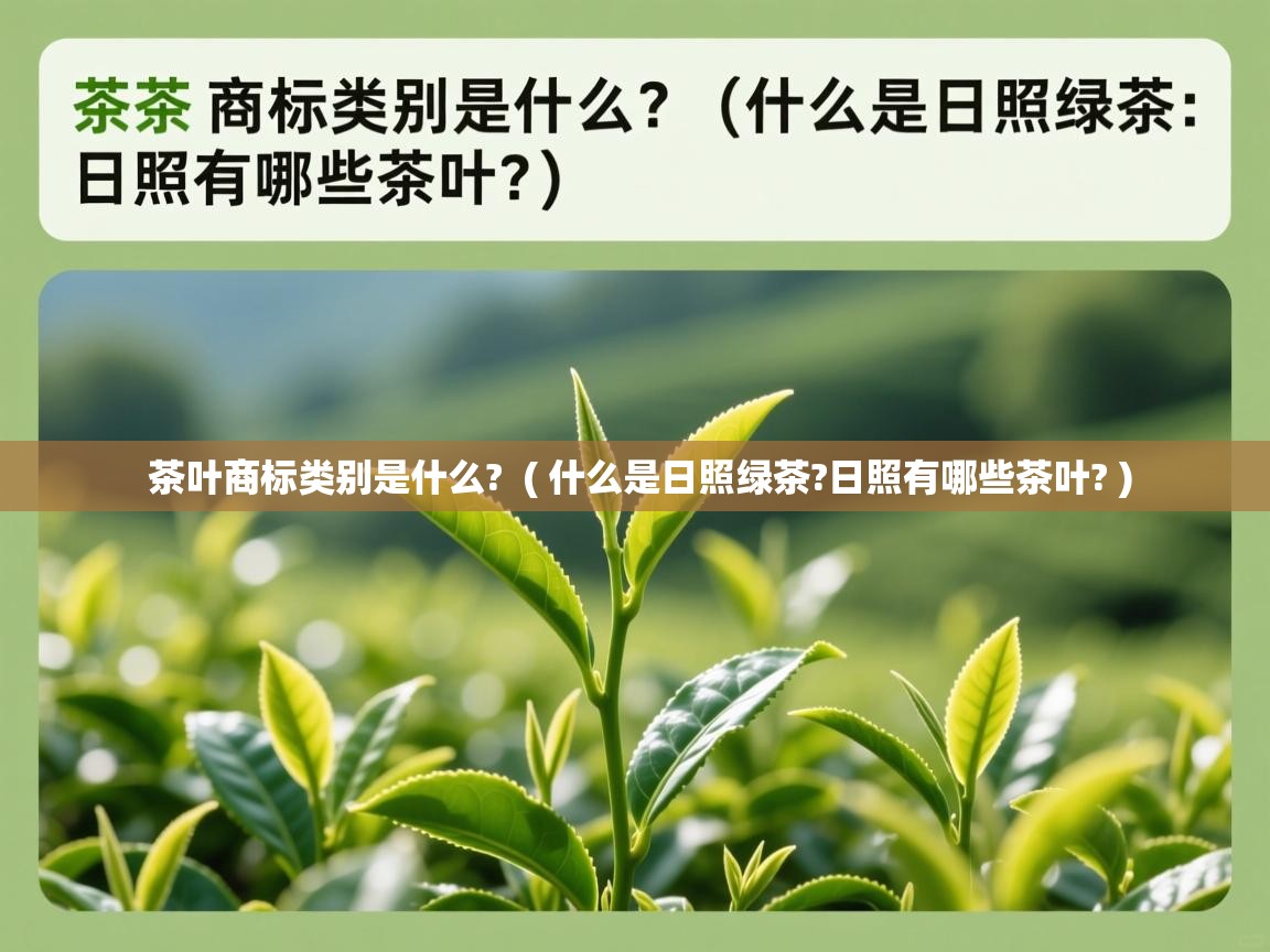  茶叶商标类别是什么?  ( 什么是日照绿茶?日照有哪些茶叶? )