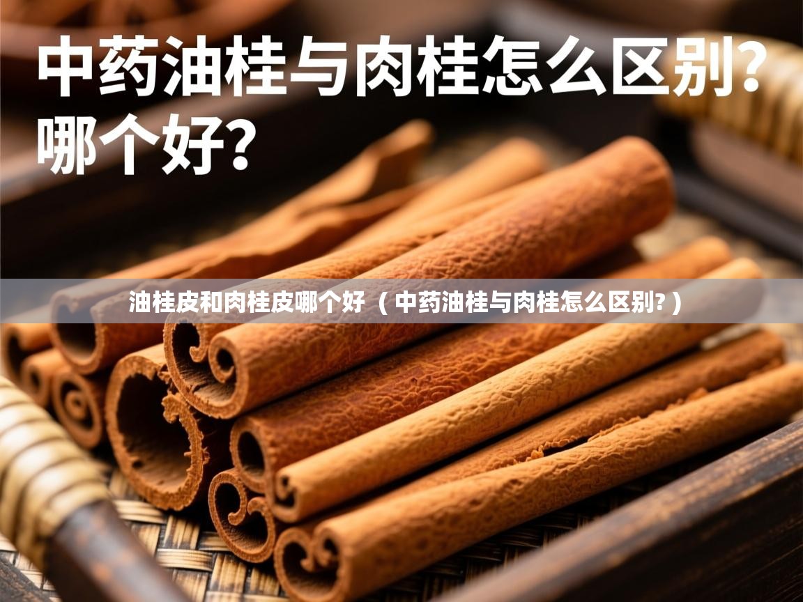  油桂皮和肉桂皮哪个好  ( 中药油桂与肉桂怎么区别? )