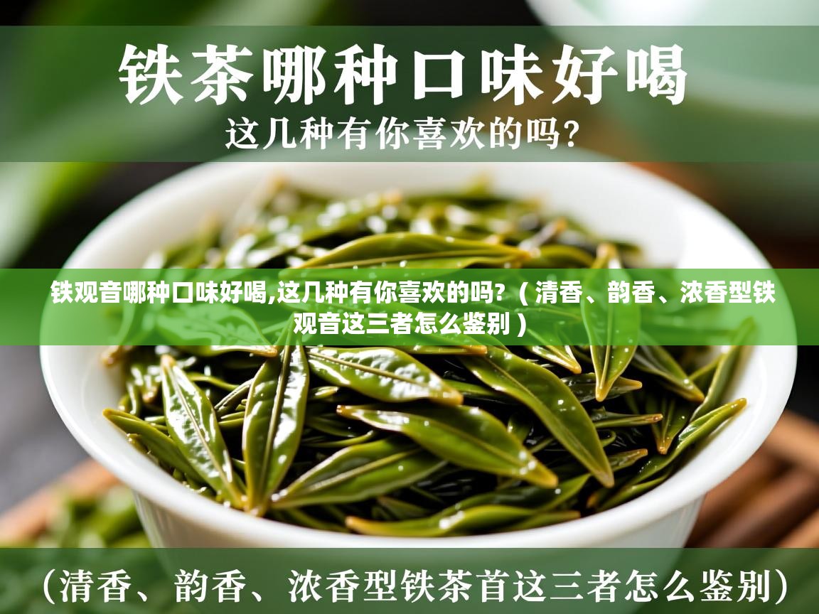  铁观音哪种口味好喝,这几种有你喜欢的吗?  ( 清香、韵香、浓香型铁观音这三者怎么鉴别 )