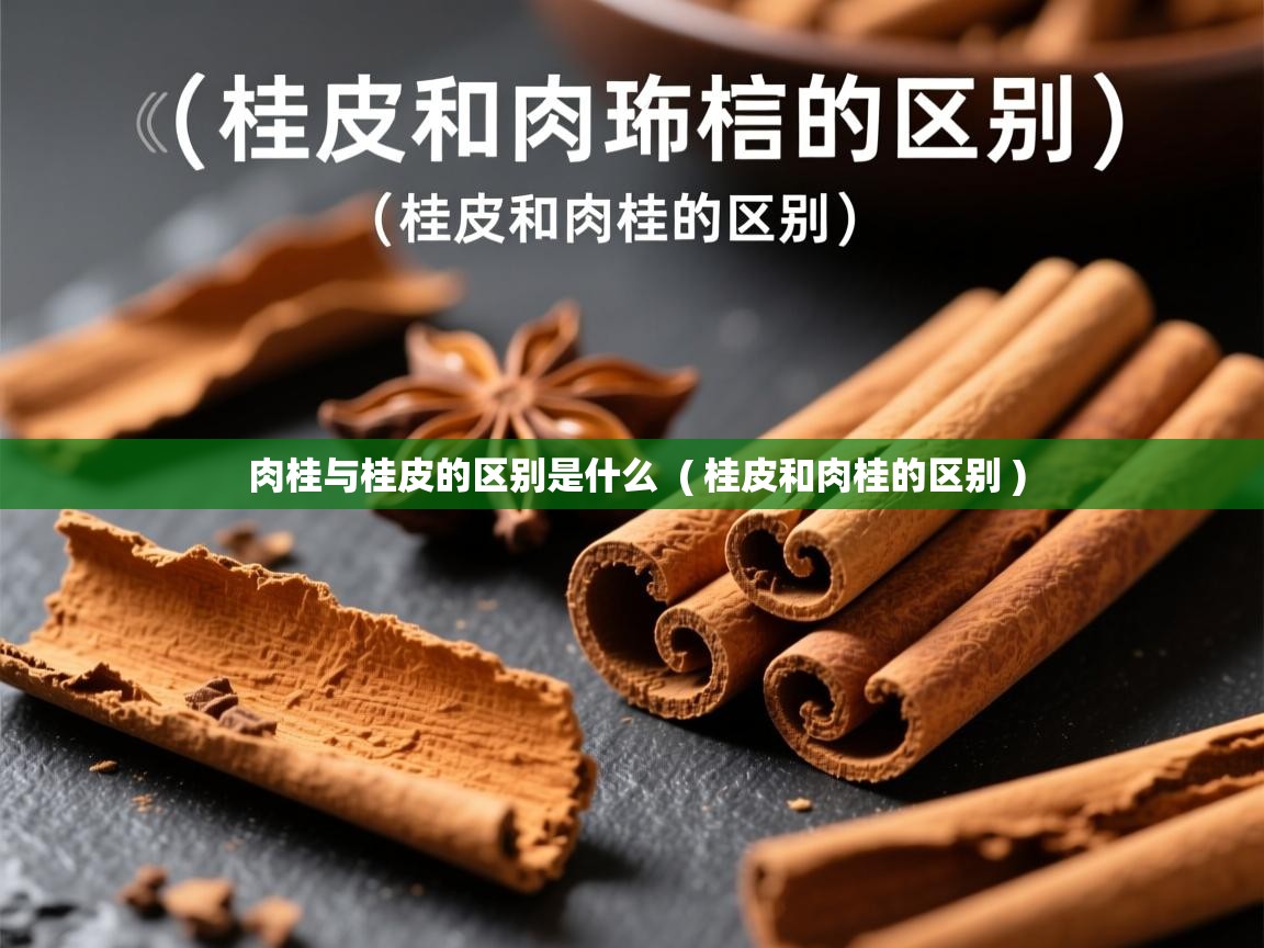  肉桂与桂皮的区别是什么  ( 桂皮和肉桂的区别 )