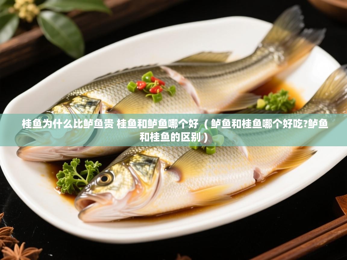  桂鱼为什么比鲈鱼贵 桂鱼和鲈鱼哪个好  ( 鲈鱼和桂鱼哪个好吃?鲈鱼和桂鱼的区别 )