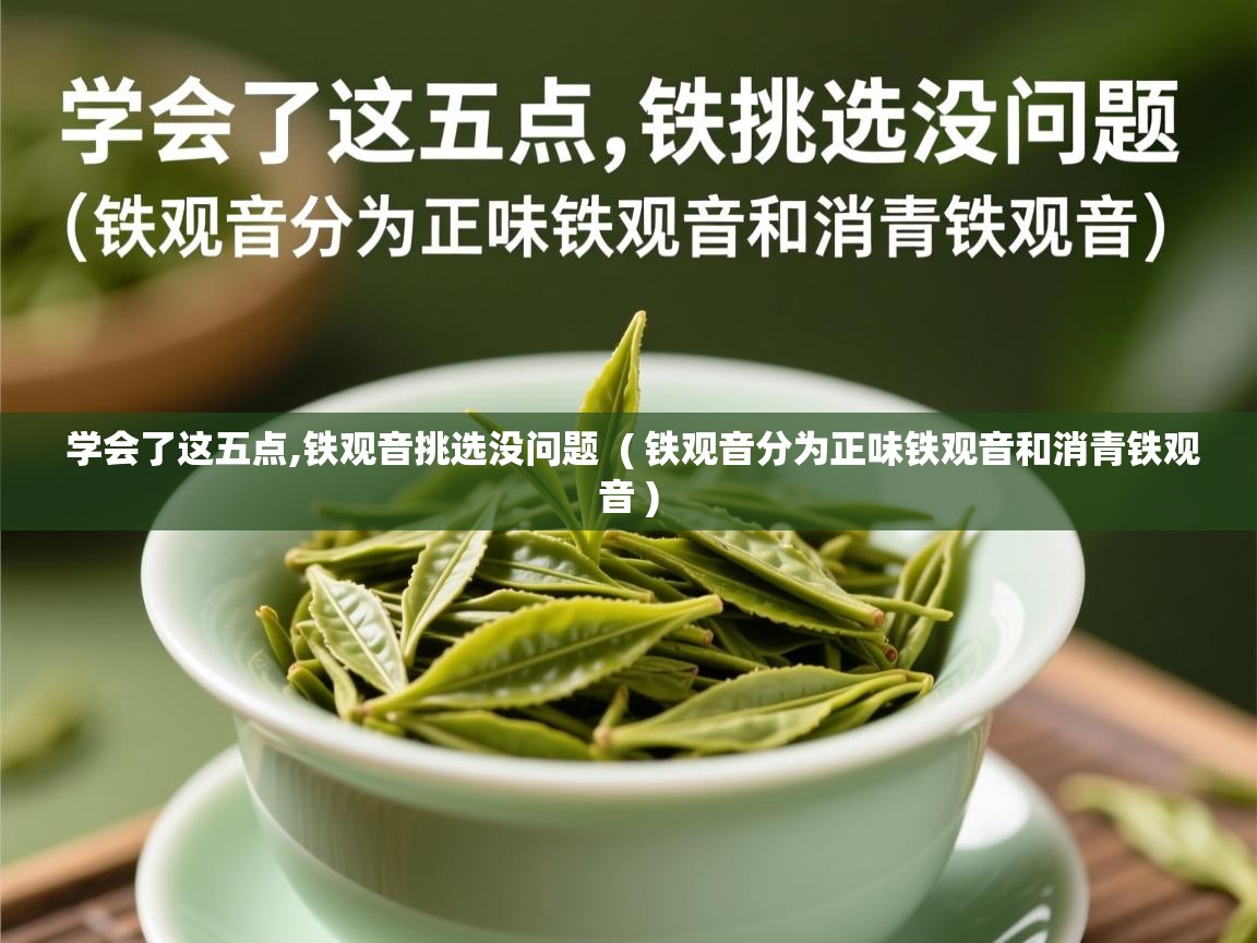  学会了这五点,铁观音挑选没问题  ( 铁观音分为正味铁观音和消青铁观音 )