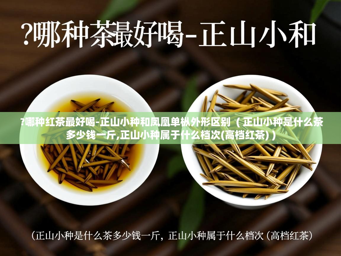  ?哪种红茶最好喝-正山小种和凤凰单枞外形区别  ( 正山小种是什么茶多少钱一斤,正山小种属于什么档次(高档红茶) )