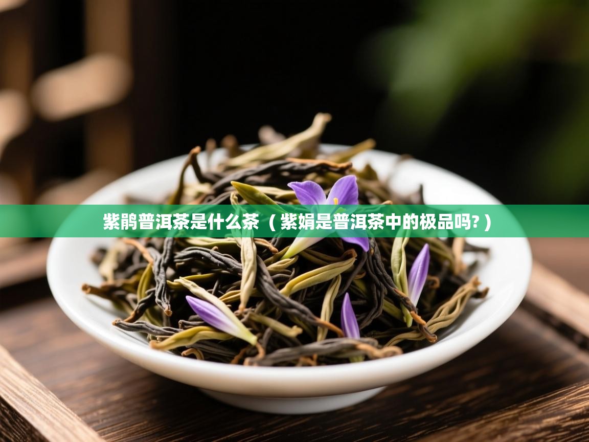  紫鹃普洱茶是什么茶  ( 紫娟是普洱茶中的极品吗? )
