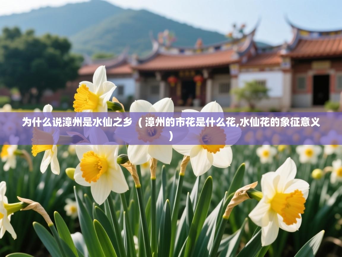 为什么说漳州是水仙之乡  ( 漳州的市花是什么花,水仙花的象征意义 )