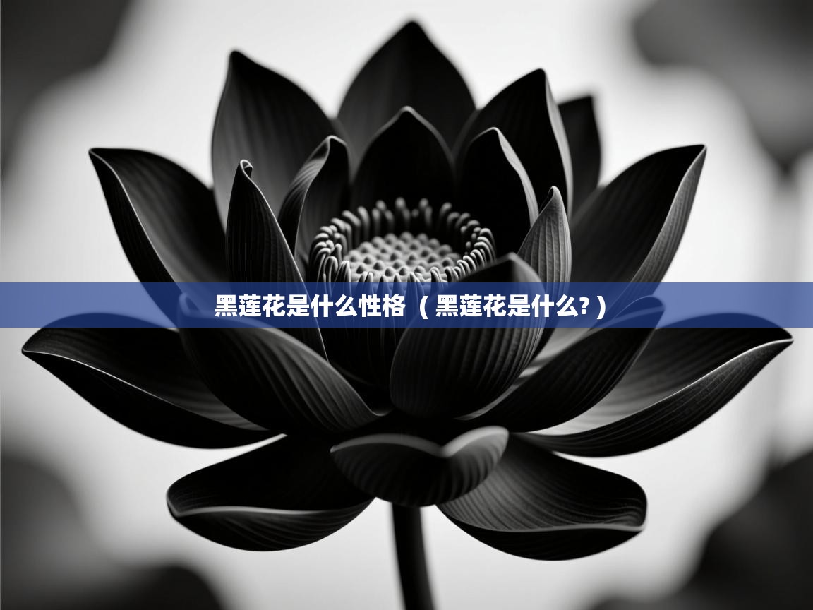 黑莲花是什么性格  ( 黑莲花是什么? )