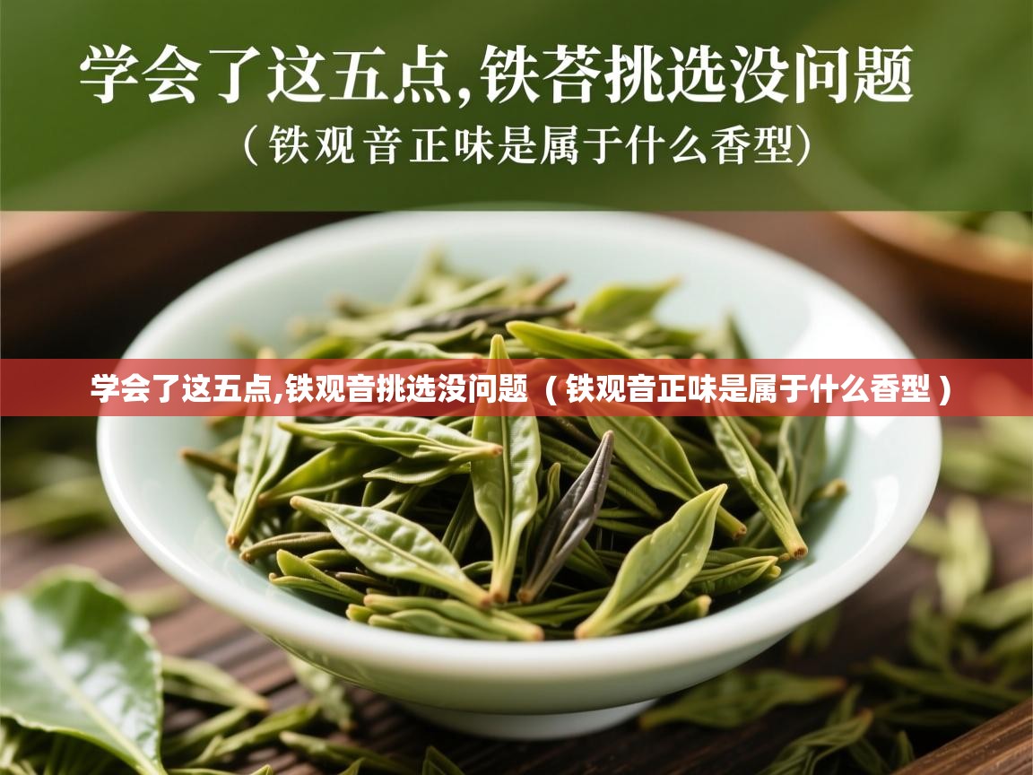  学会了这五点,铁观音挑选没问题  ( 铁观音正味是属于什么香型 )