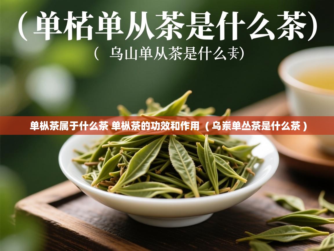  单枞茶属于什么茶 单枞茶的功效和作用  ( 乌岽单丛茶是什么茶 )