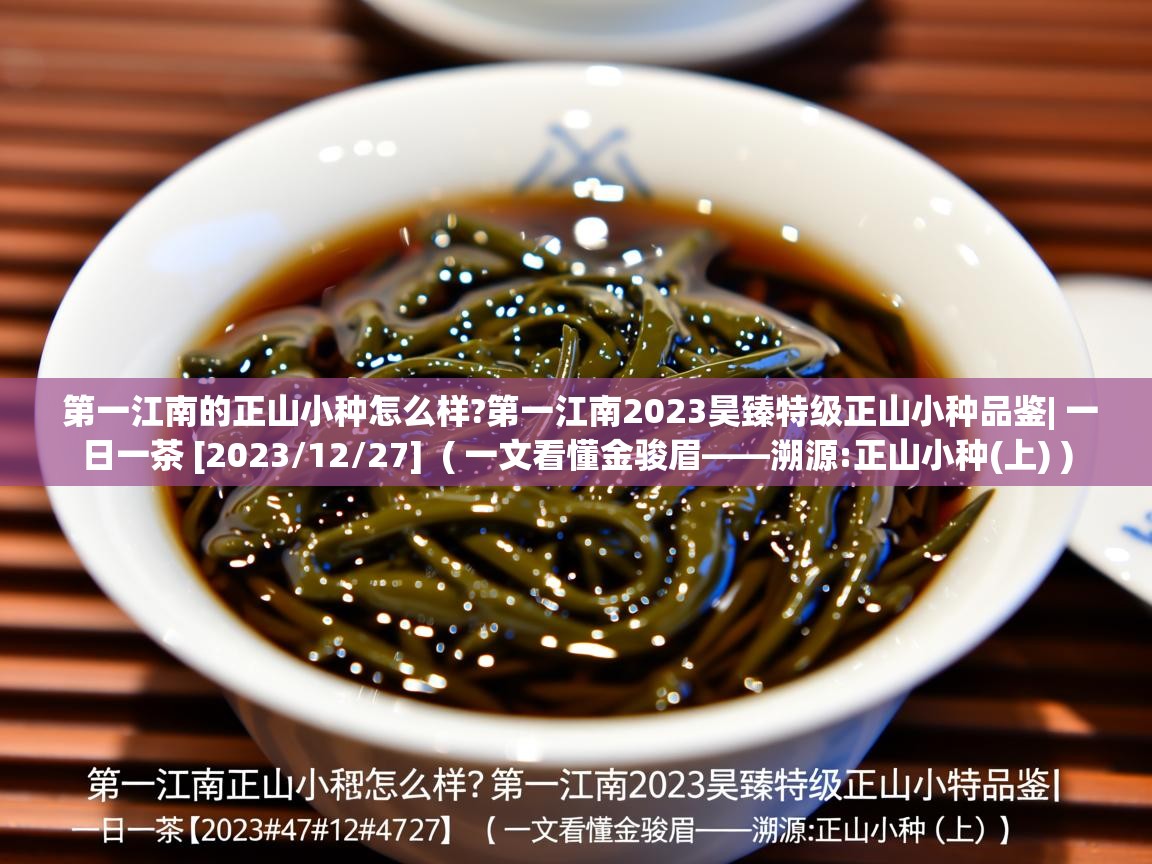  第一江南的正山小种怎么样?第一江南2023昊臻特级正山小种品鉴| 一日一茶 [2023/12/27]  ( 一文看懂金骏眉——溯源:正山小种(上) )
