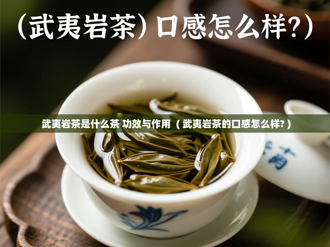  武夷岩茶是什么茶 功效与作用  ( 武夷岩茶的口感怎么样? )