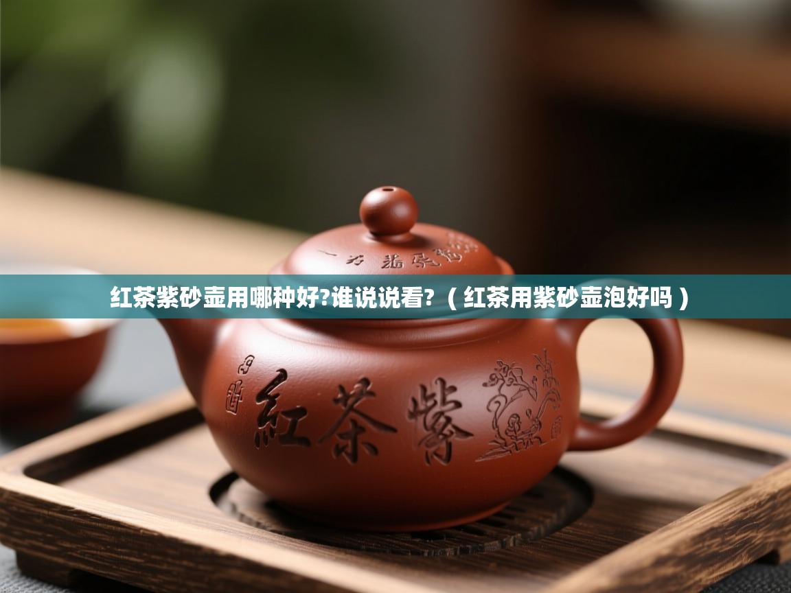 红茶紫砂壶用哪种好?谁说说看?  ( 红茶用紫砂壶泡好吗 )