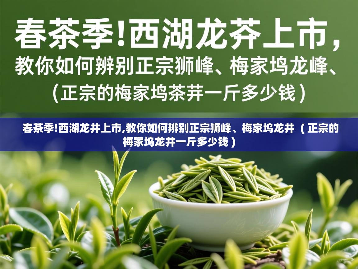  春茶季!西湖龙井上市,教你如何辨别正宗狮峰、梅家坞龙井  ( 正宗的梅家坞龙井一斤多少钱 )