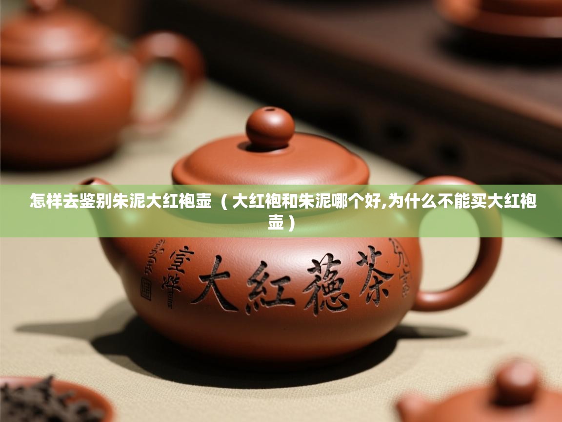  怎样去鉴别朱泥大红袍壶  ( 大红袍和朱泥哪个好,为什么不能买大红袍壶 )