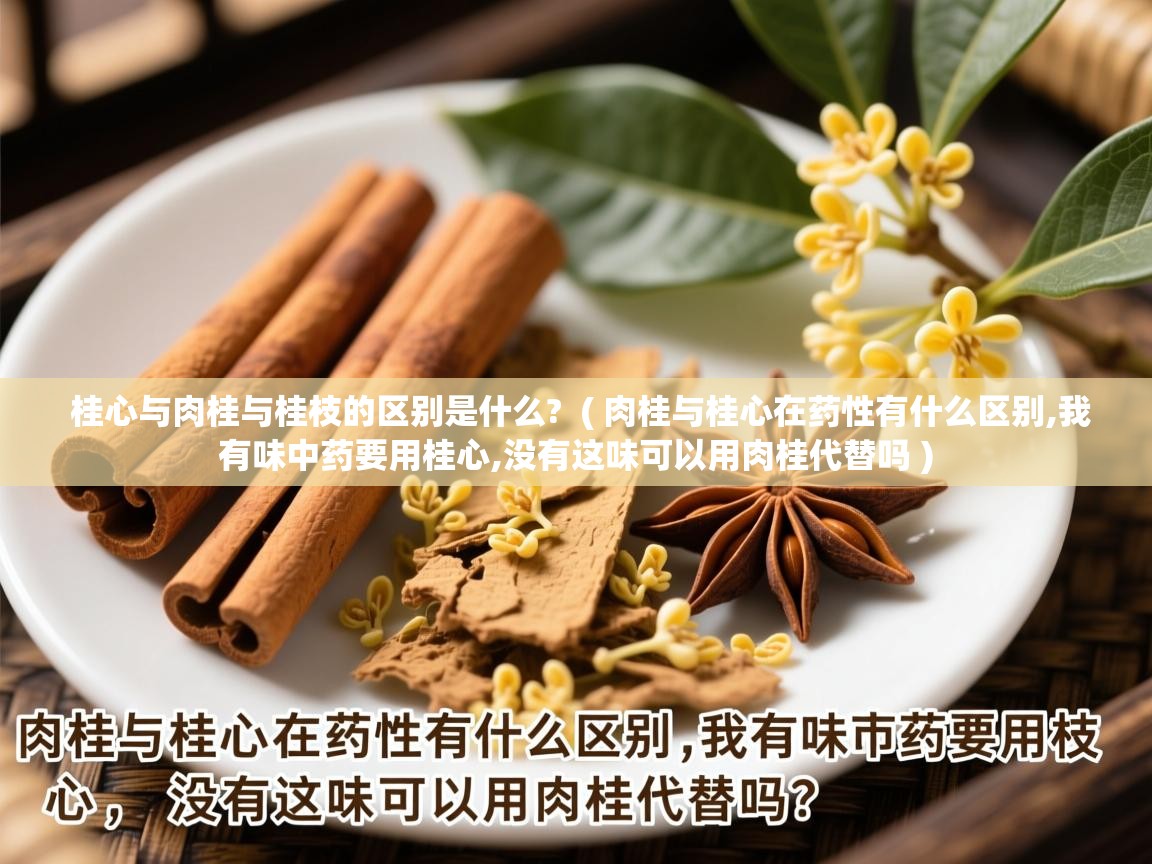 桂心与肉桂与桂枝的区别是什么?  ( 肉桂与桂心在药性有什么区别,我有味中药要用桂心,没有这味可以用肉桂代替吗 )