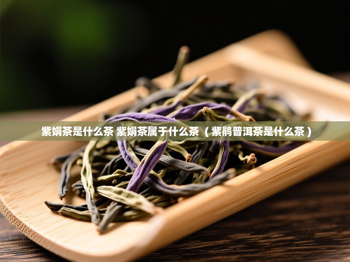  紫娟茶是什么茶 紫娟茶属于什么茶  ( 紫鹃普洱茶是什么茶 )