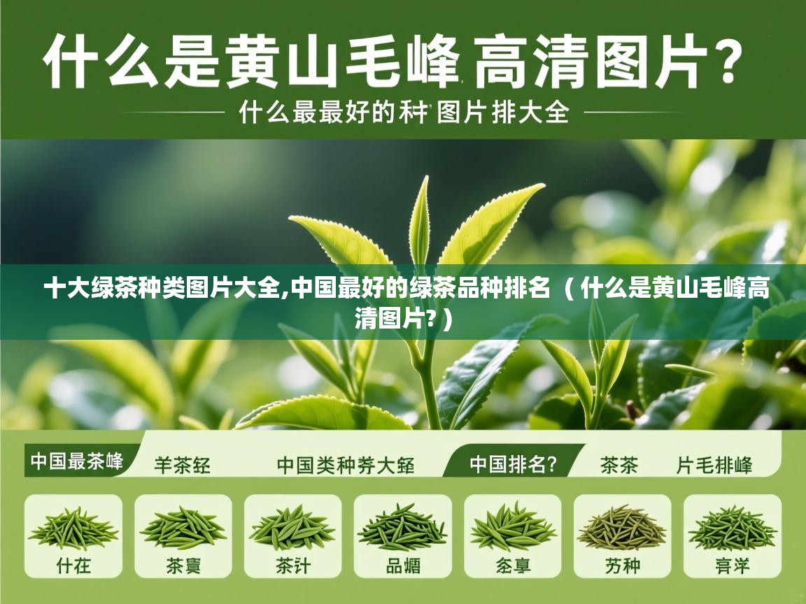  十大绿茶种类图片大全,中国最好的绿茶品种排名  ( 什么是黄山毛峰高清图片? )