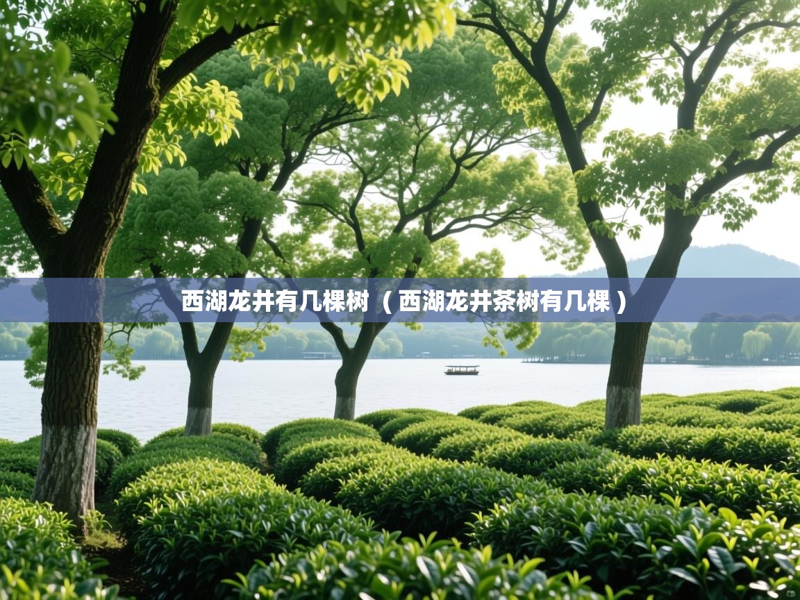  西湖龙井有几棵树  ( 西湖龙井茶树有几棵 )