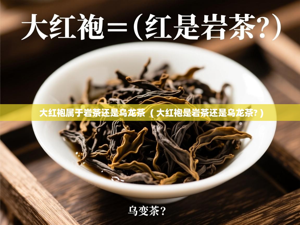  大红袍属于岩茶还是乌龙茶  ( 大红袍是岩茶还是乌龙茶? )