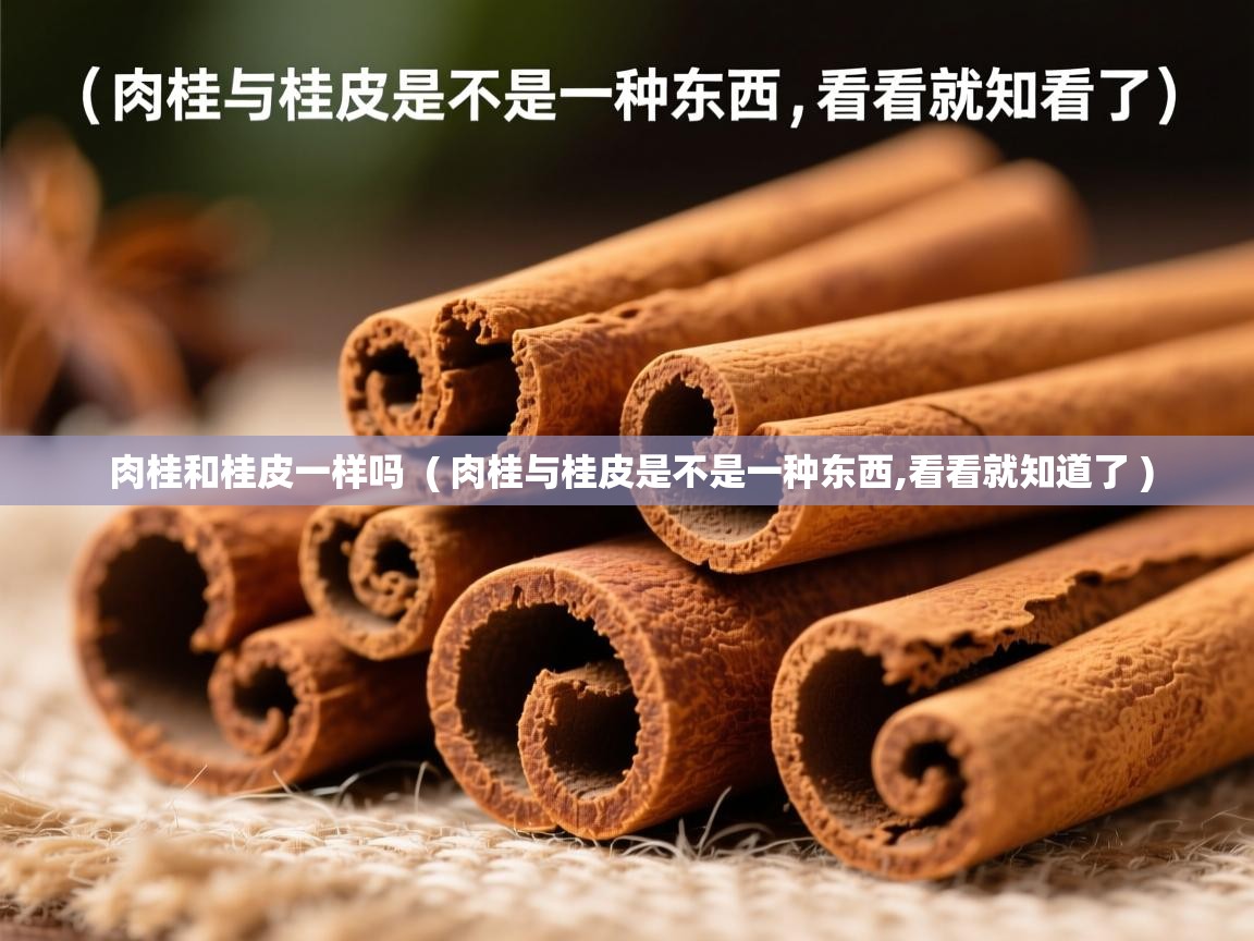  肉桂和桂皮一样吗  ( 肉桂与桂皮是不是一种东西,看看就知道了 )