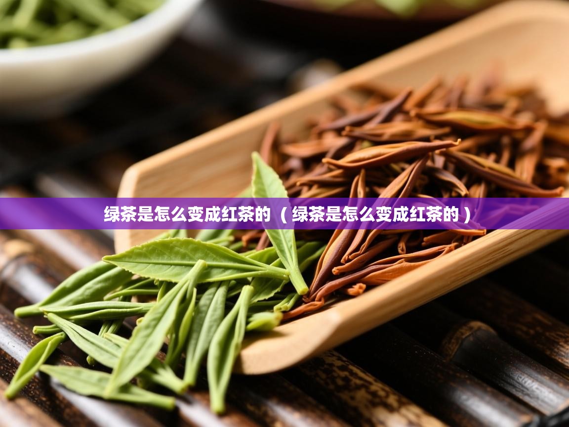  绿茶是怎么变成红茶的  ( 绿茶是怎么变成红茶的 )