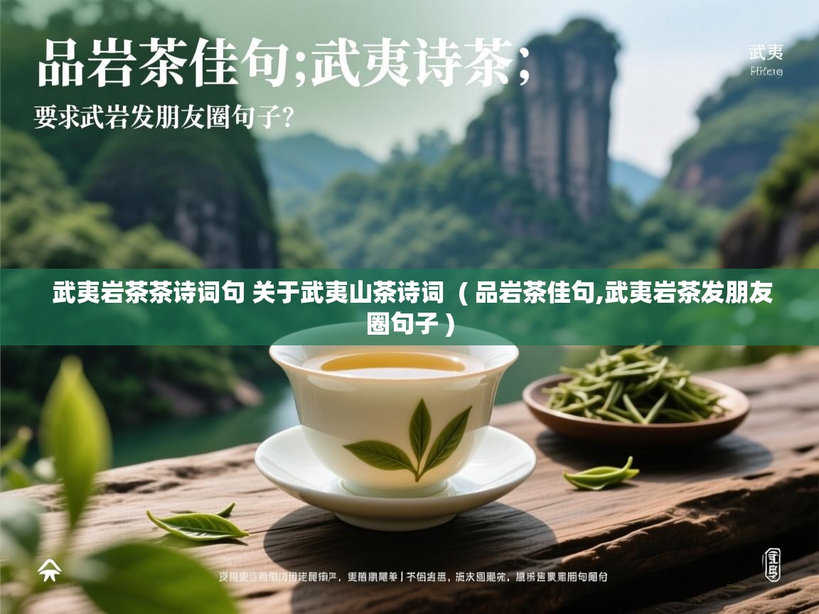  武夷岩茶茶诗词句 关于武夷山茶诗词  ( 品岩茶佳句,武夷岩茶发朋友圈句子 )