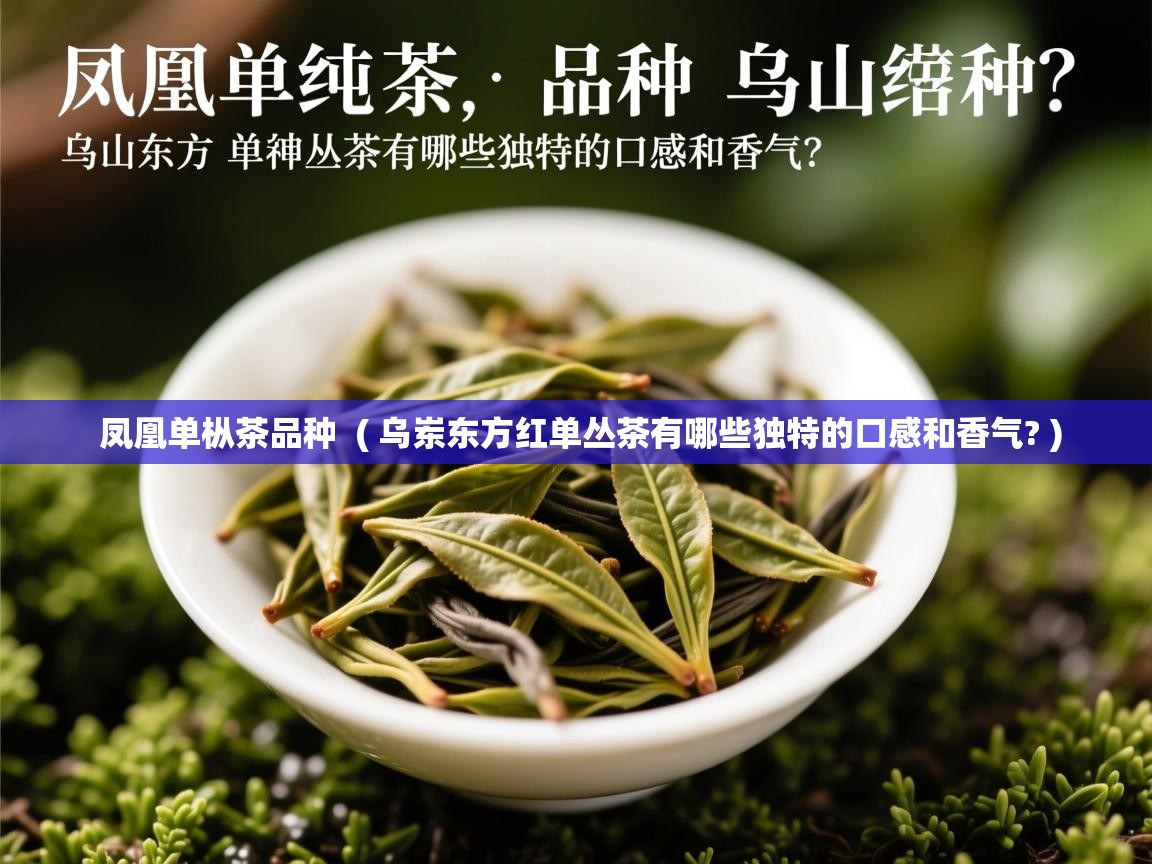  凤凰单枞茶品种  ( 乌岽东方红单丛茶有哪些独特的口感和香气? )