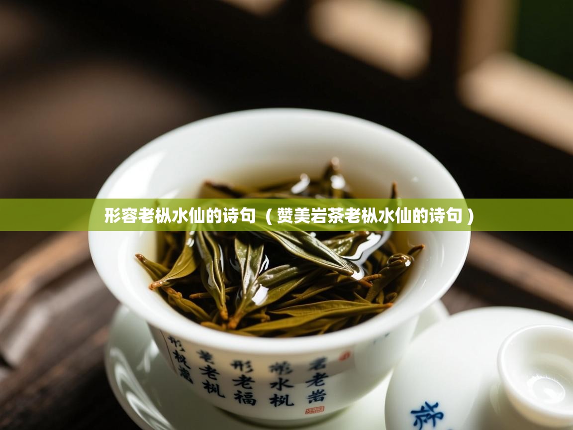  形容老枞水仙的诗句  ( 赞美岩茶老枞水仙的诗句 )