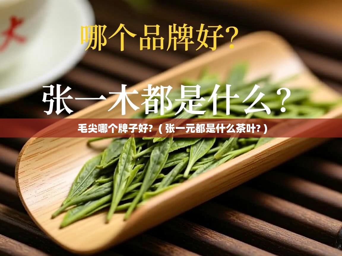  毛尖哪个牌子好?  ( 张一元都是什么茶叶? )