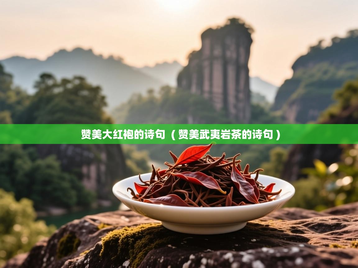  赞美大红袍的诗句  ( 赞美武夷岩茶的诗句 )