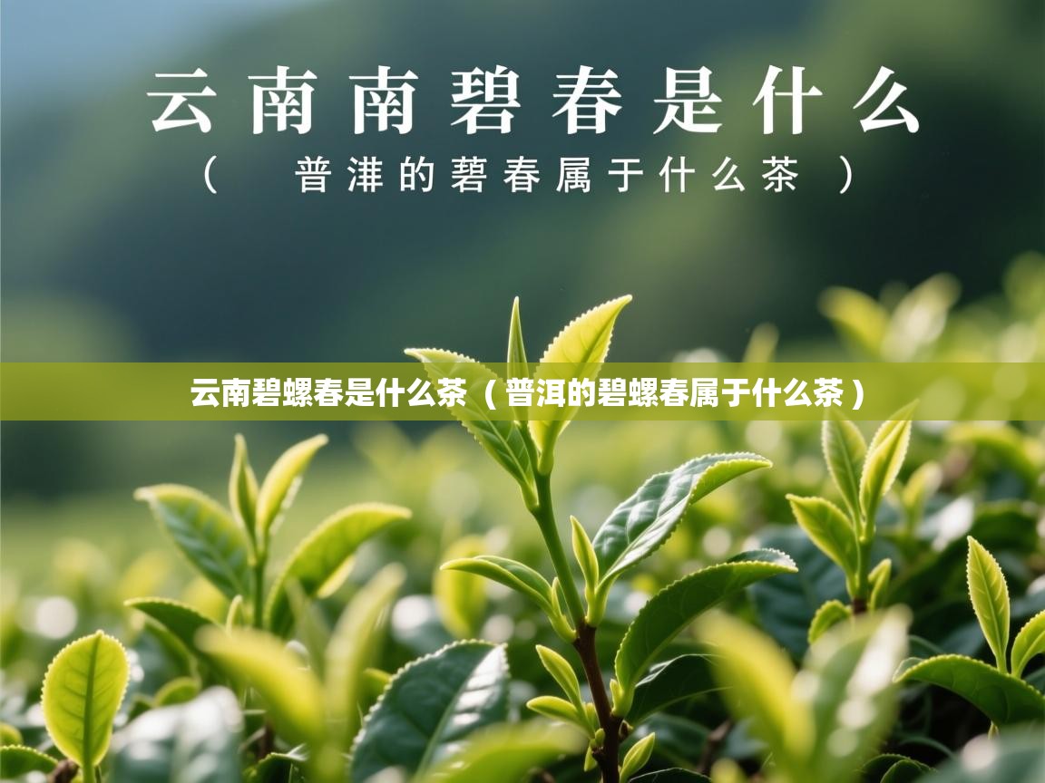  云南碧螺春是什么茶  ( 普洱的碧螺春属于什么茶 )